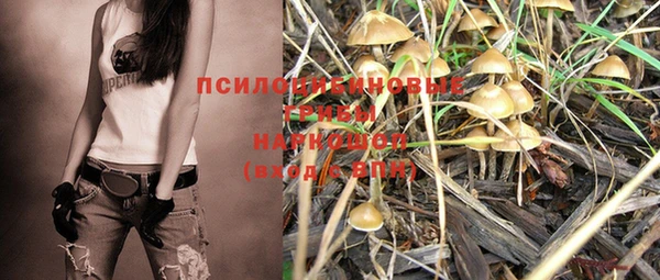 метадон Белокуриха