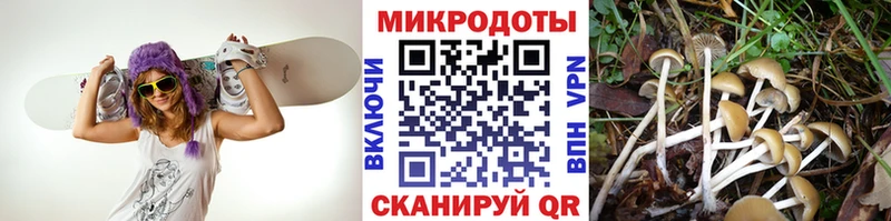 Псилоцибиновые грибы GOLDEN TEACHER Кушва